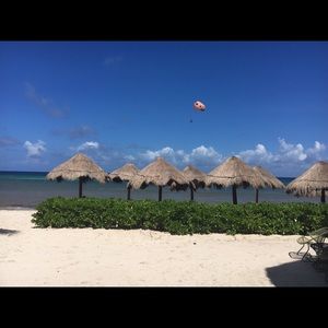 Meet your Posher, Monique